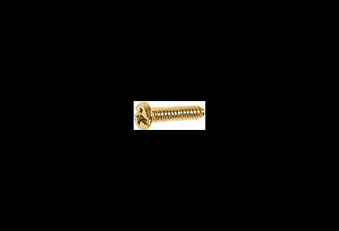 Kruiskopschroef goud Ø 1,0 lengte 3,8 mm