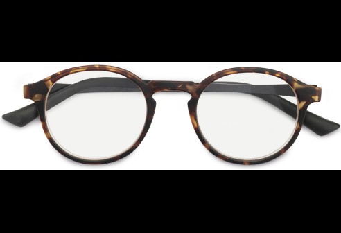 Lunettes de lecture en plastique mat havanna +1.00