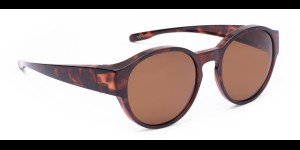 Lunettes de soleil transfert petites rondes - Havane