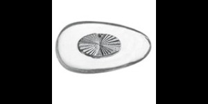 Plaquettes en PVC système «Click», 15 mm, argent  