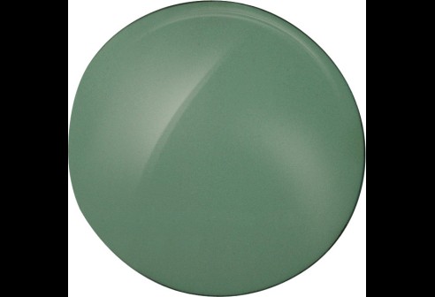 Shoptic Verres plans CR 39 - Vert gris foncé (G 15) - Courbe 2