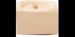 Cire brillante, beige