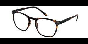 Lunettes de lecture Tailor G64900 havane +1.00