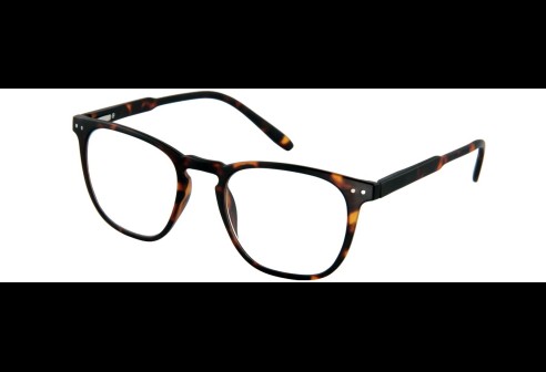 Lunettes de lecture Tailor G64900 havane +1.00