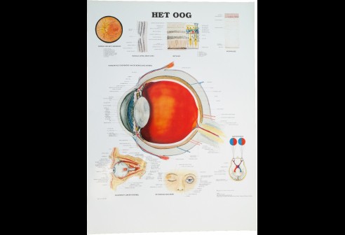 Impressions du système oculaire schématique