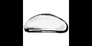 Coussinets de nez, à mastiquer