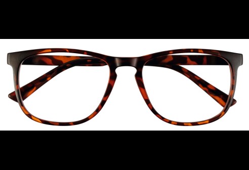 JMG8 | Classic Havana taille 51