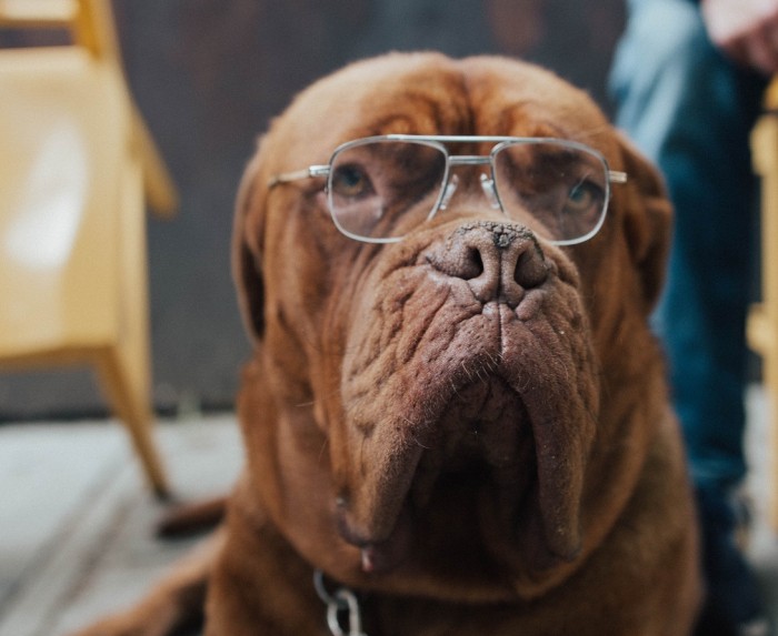 william-moreland-VJ7r5bUdlYI-unsplash