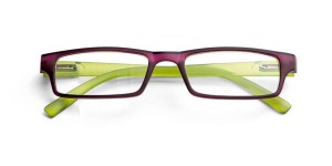 Leesbril kunststof met verwisselbare veren lila/groen + grijs