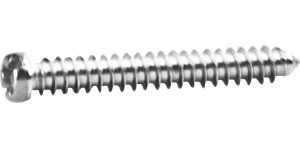 Kruiskop/gleuf-schroef zilver Ø 1,6 lengte 10,8 mm