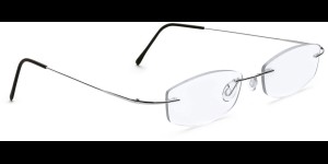 Glasbril van Beta-titanium zilver