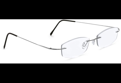 Glasbril van Beta-titanium zilver