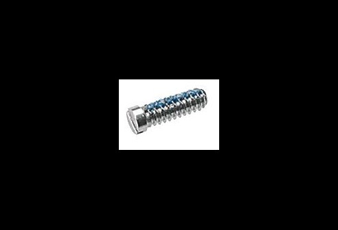 Gleufschroef zilver Tuflock Ø 1,6 lengte 5,2 mm