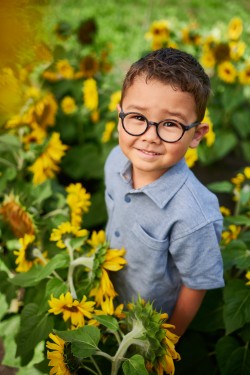 Charly Duo Styles earth havanna/donkerblauw, maat 40 