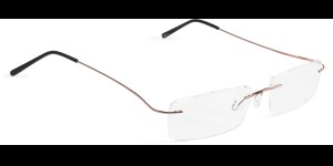 Glasbril van Beta-titanium met Monoblockveren, bruin
