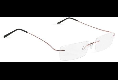 Glasbril van Beta-titanium met Monoblockveren, bruin