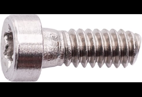 Torx 3 schroef zilver Ø 1,2 lengte 4,0 mm