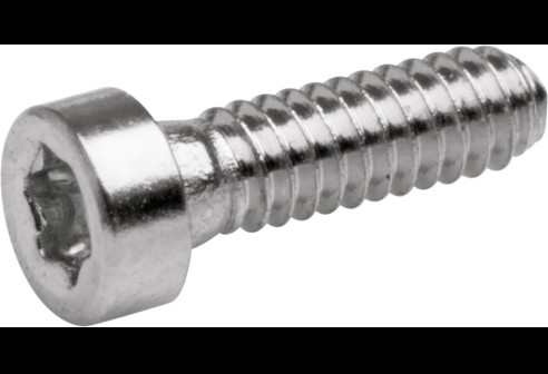Torx 3 schroef zilver Ø 1,2 lengte 4,9 mm