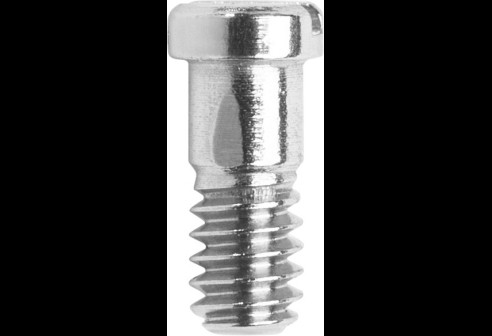 Ray-Ban scharnierschroef zilver Ø 1,2