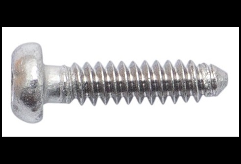Torx 2 schroef zilver Ø 1,0 lengte 4,5 mm