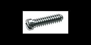 Gleufschroef zilver Ø 1,3 lengte 5,3 mm