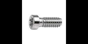 Torx 4 schroef zilver Ø 1,4 lengte 4,4 mm