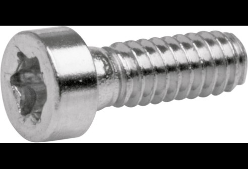 Torx 3 schroef zilver Ø 1,2 lengte 4,4 mm