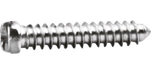 Kruiskop/gleuf-schroef zilver Ø 1,6 lengte 7,8 mm
