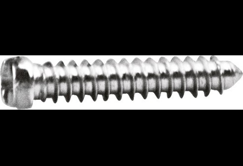 Kruiskop/gleuf-schroef zilver Ø 1,6 lengte 7,8 mm